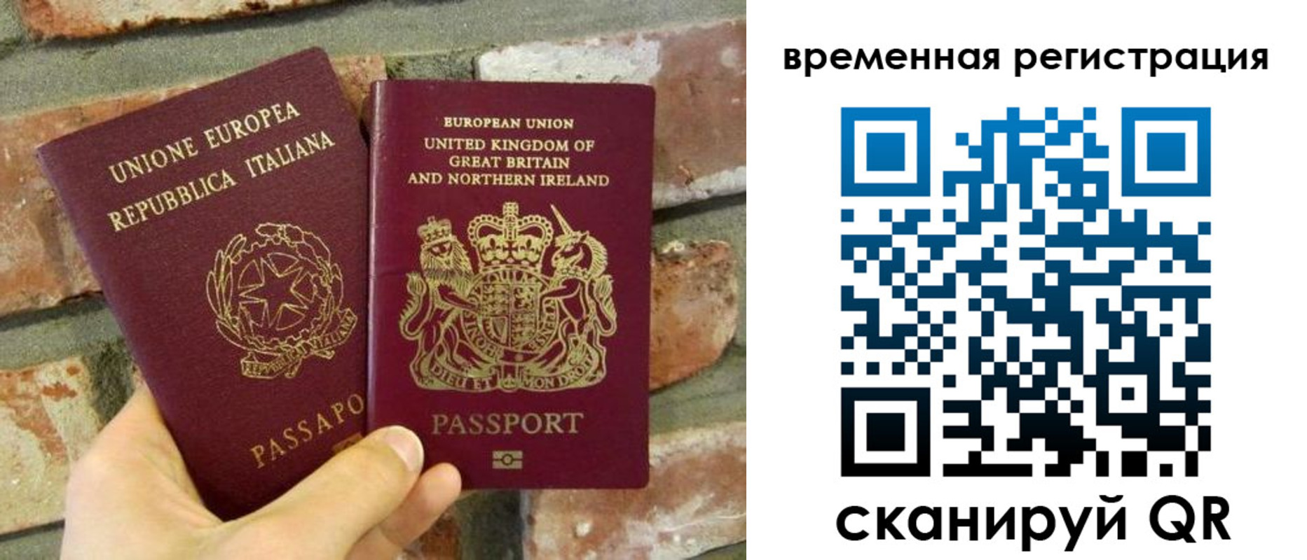 прописка для школы в Ермолино
